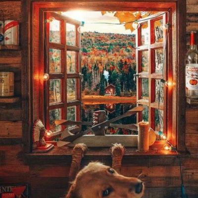 凯发游戏下载手机版